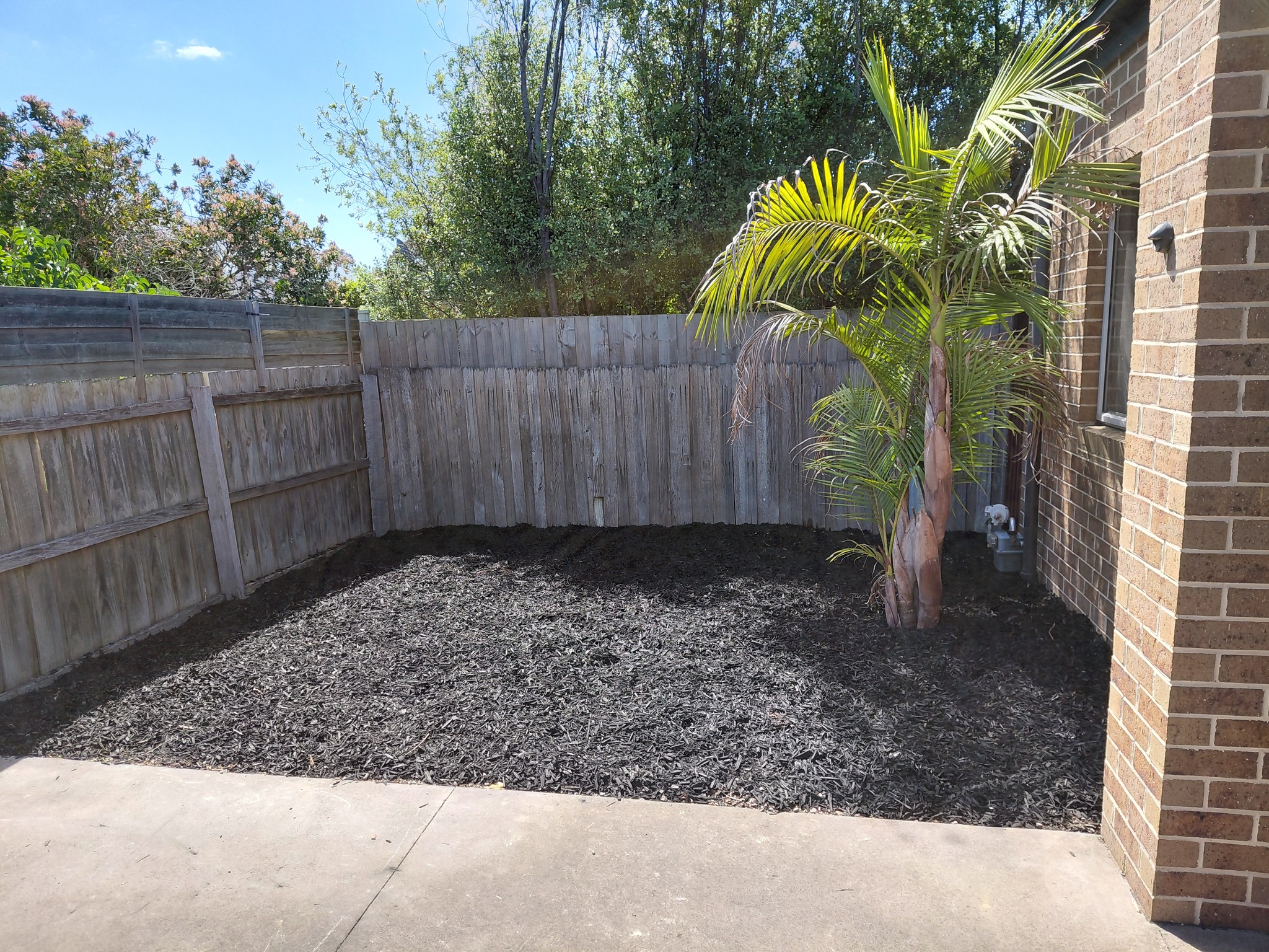 Backyard maintenance Geelong