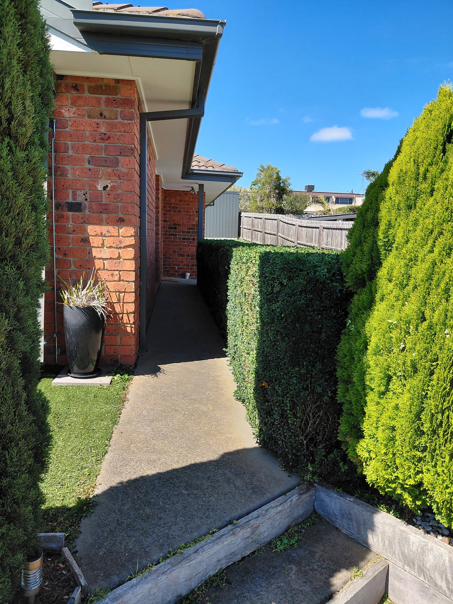 Hedge trimming Geelong