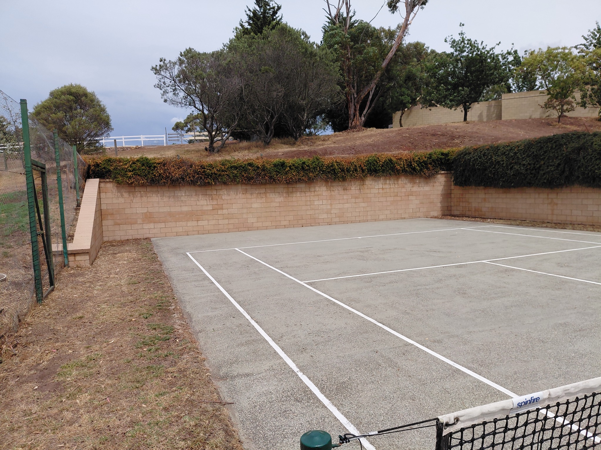 Hedge trimming Geelong after