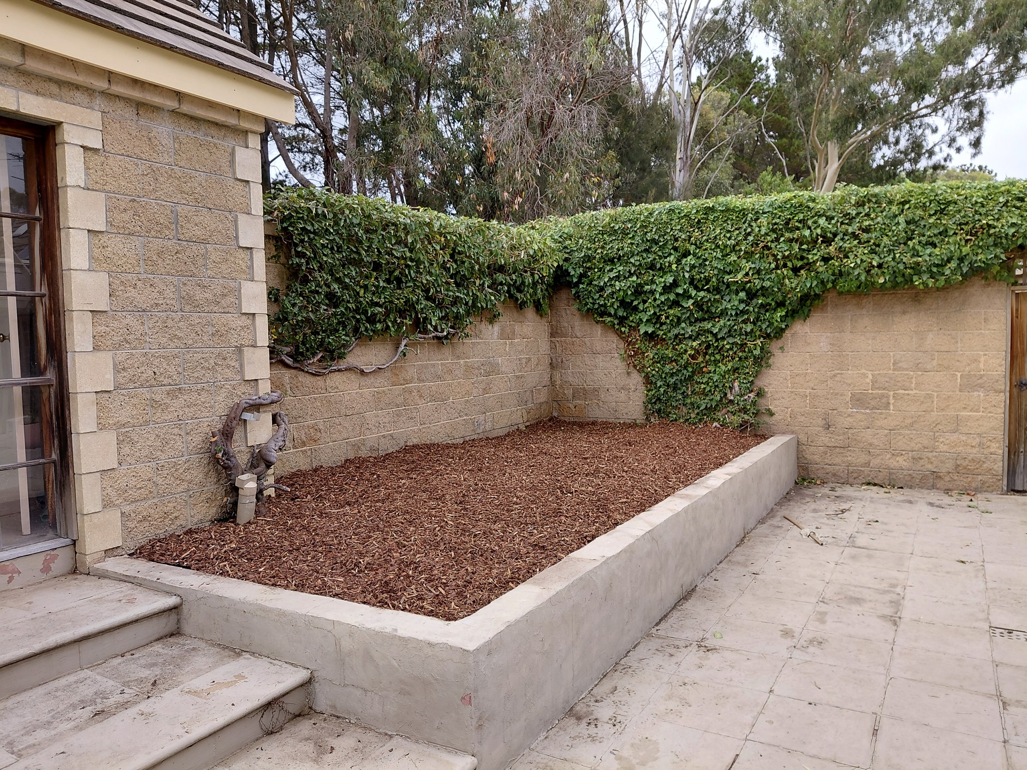 Hedge trimming Geelong after