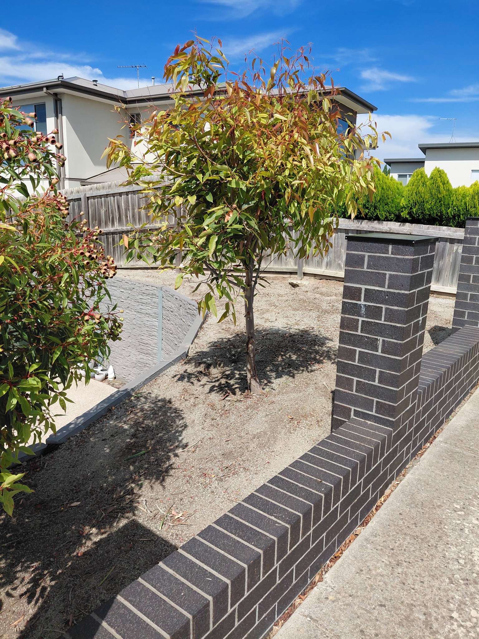 Garden and landscaping Geelong