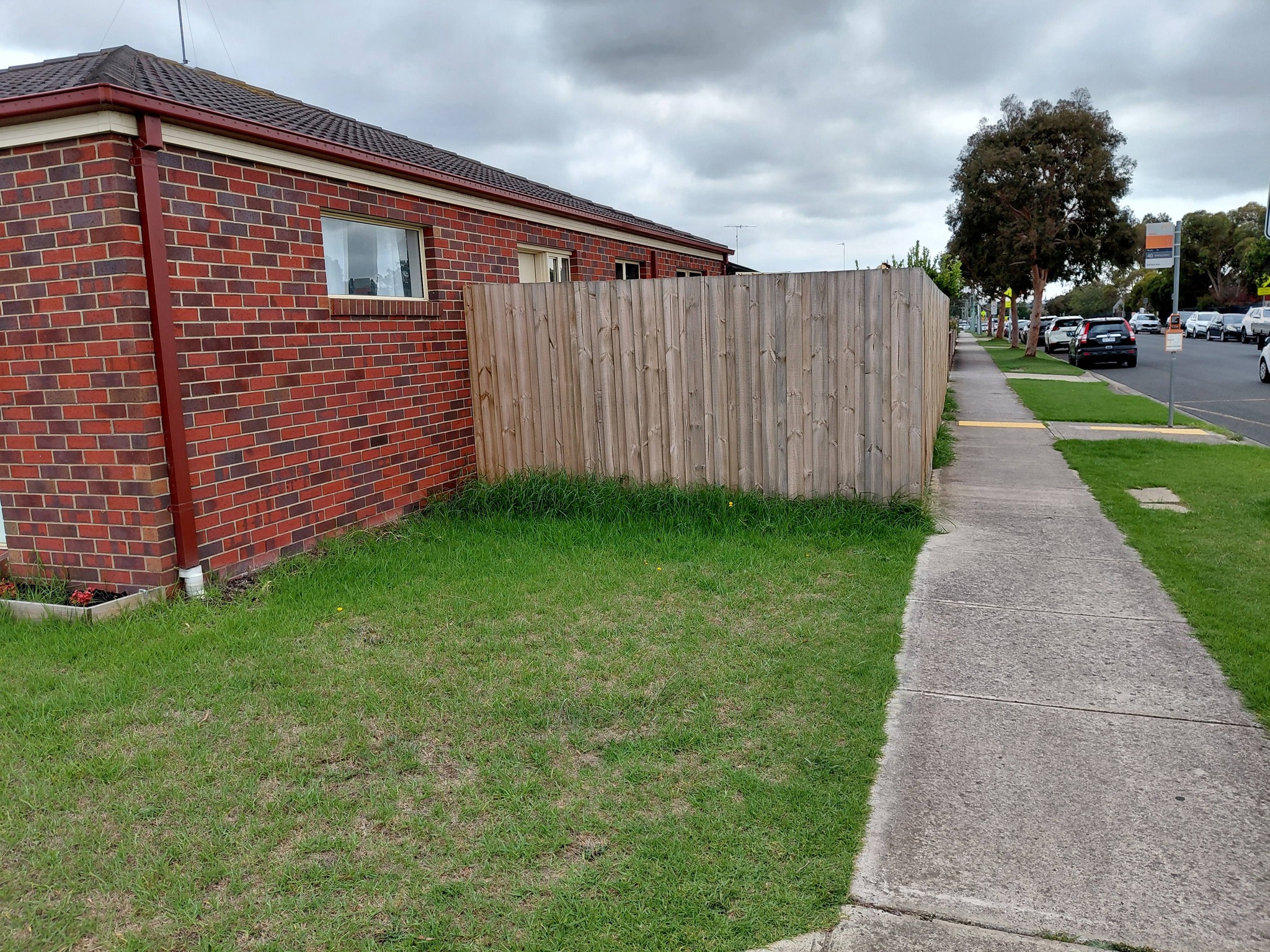 Lawn mowing Geelong job 2