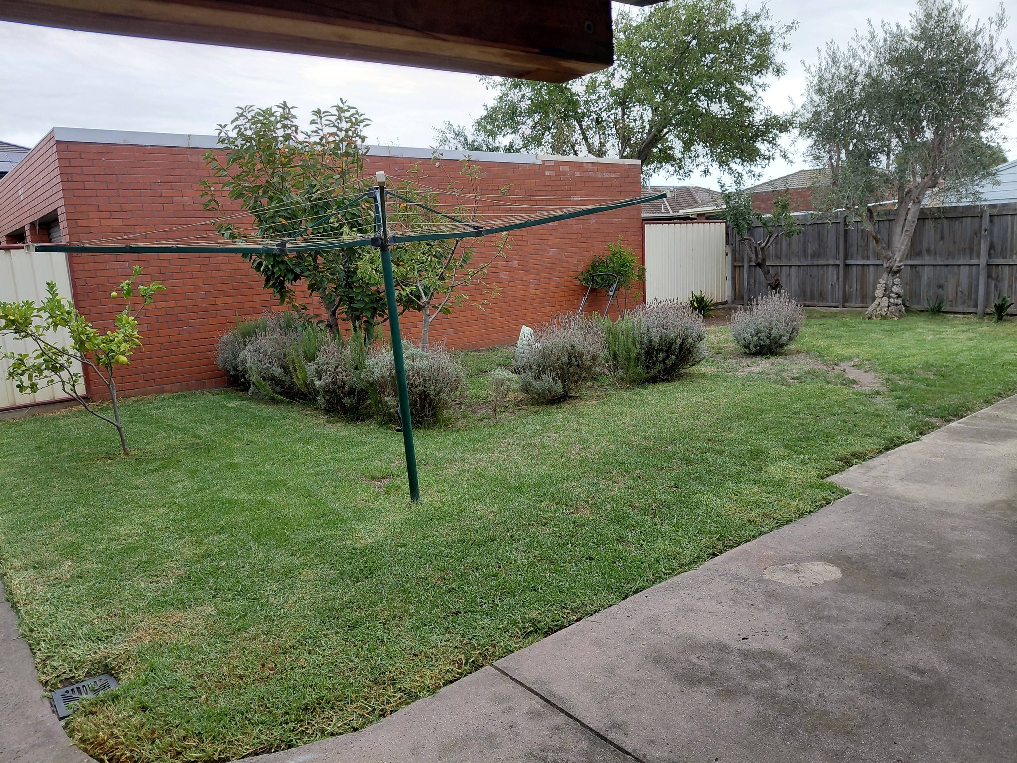 Lawn mowing Geelong completed