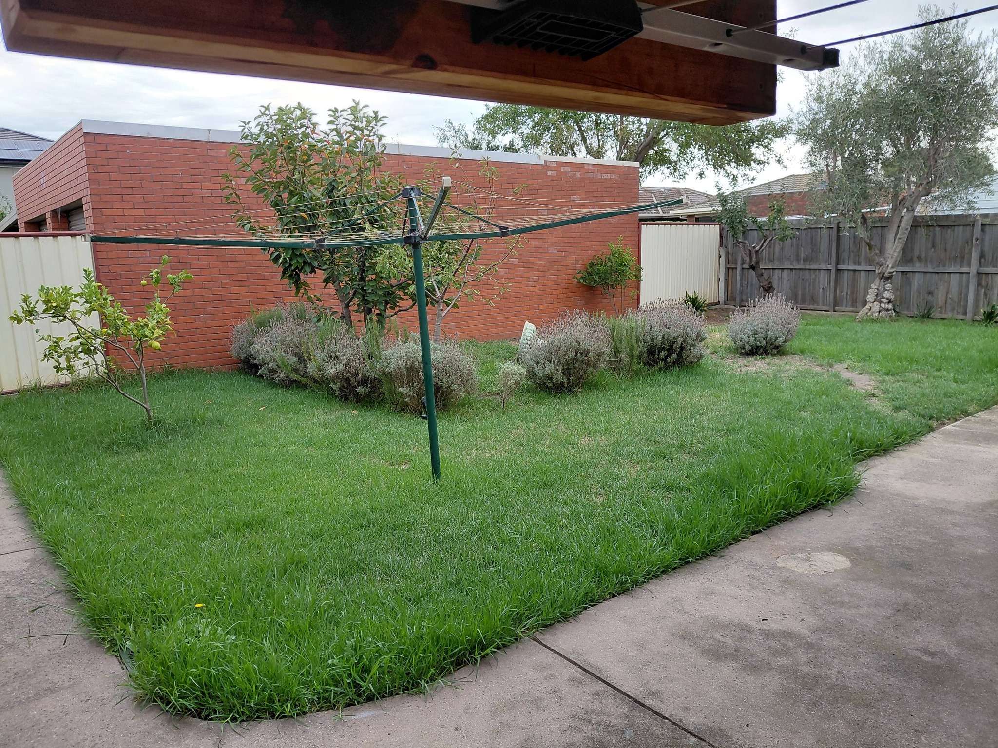 Lawn mowing Geelong