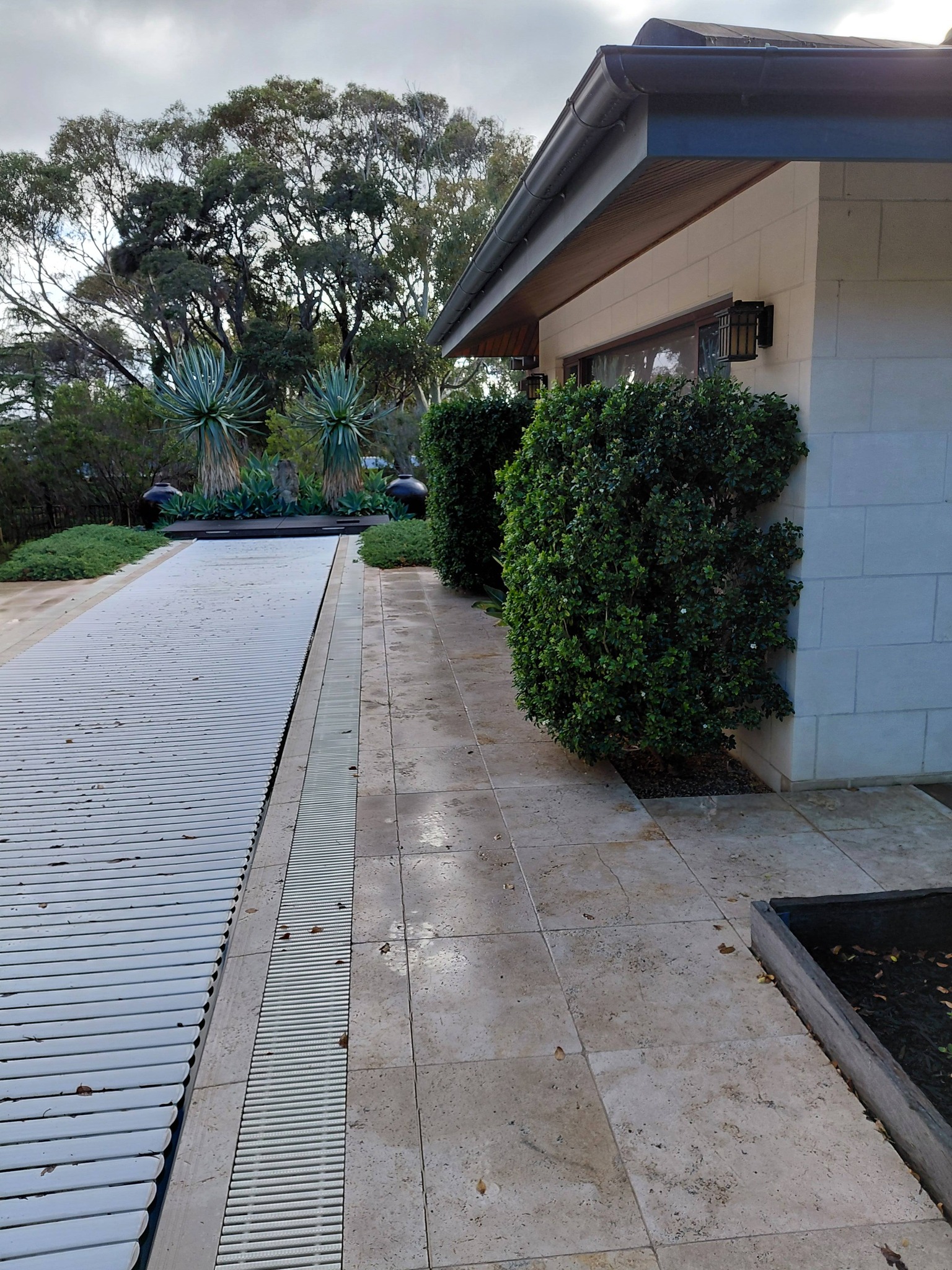 Tree and shrub pruning Geelong