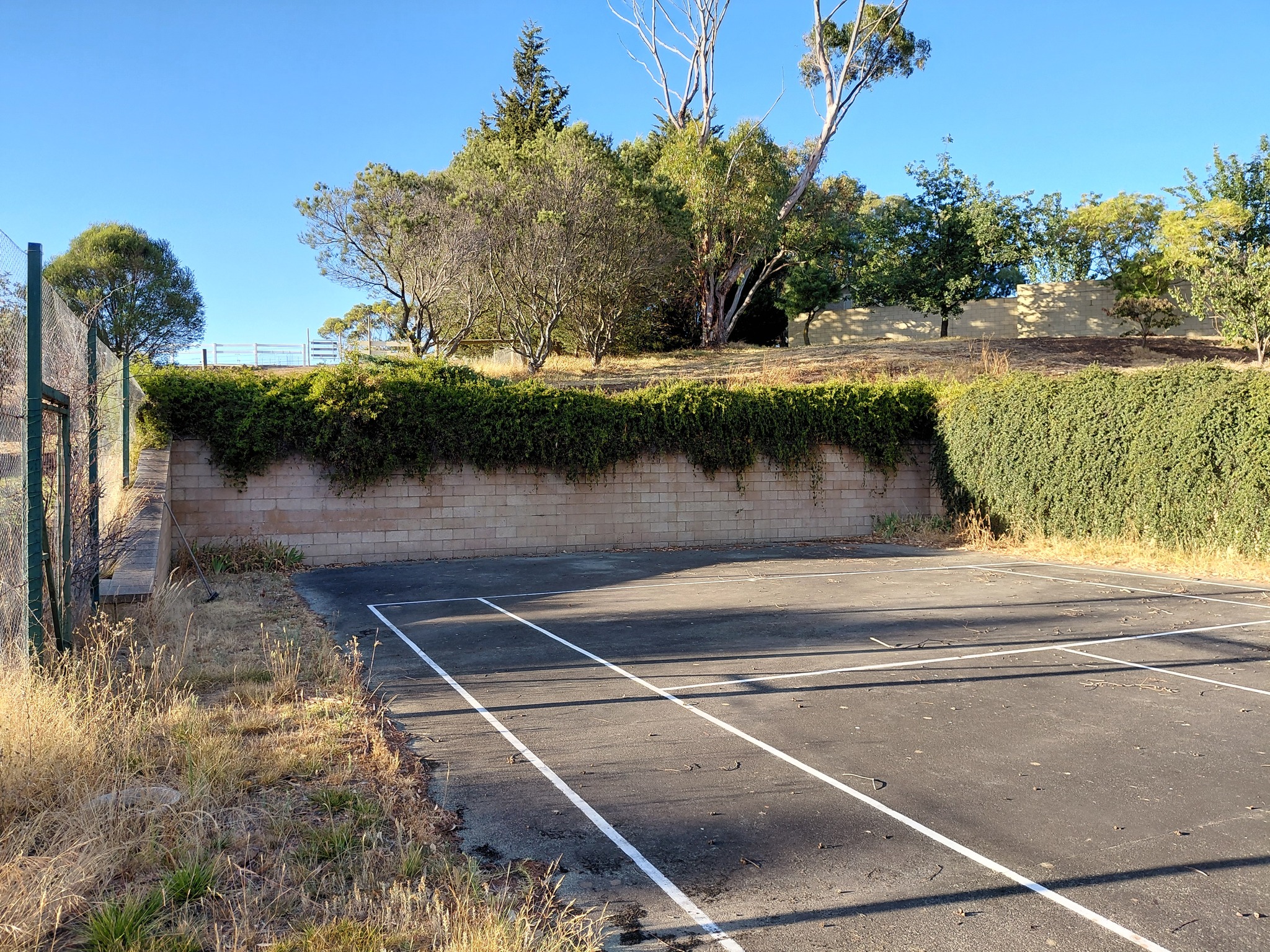 Hedge trimming Geelong before