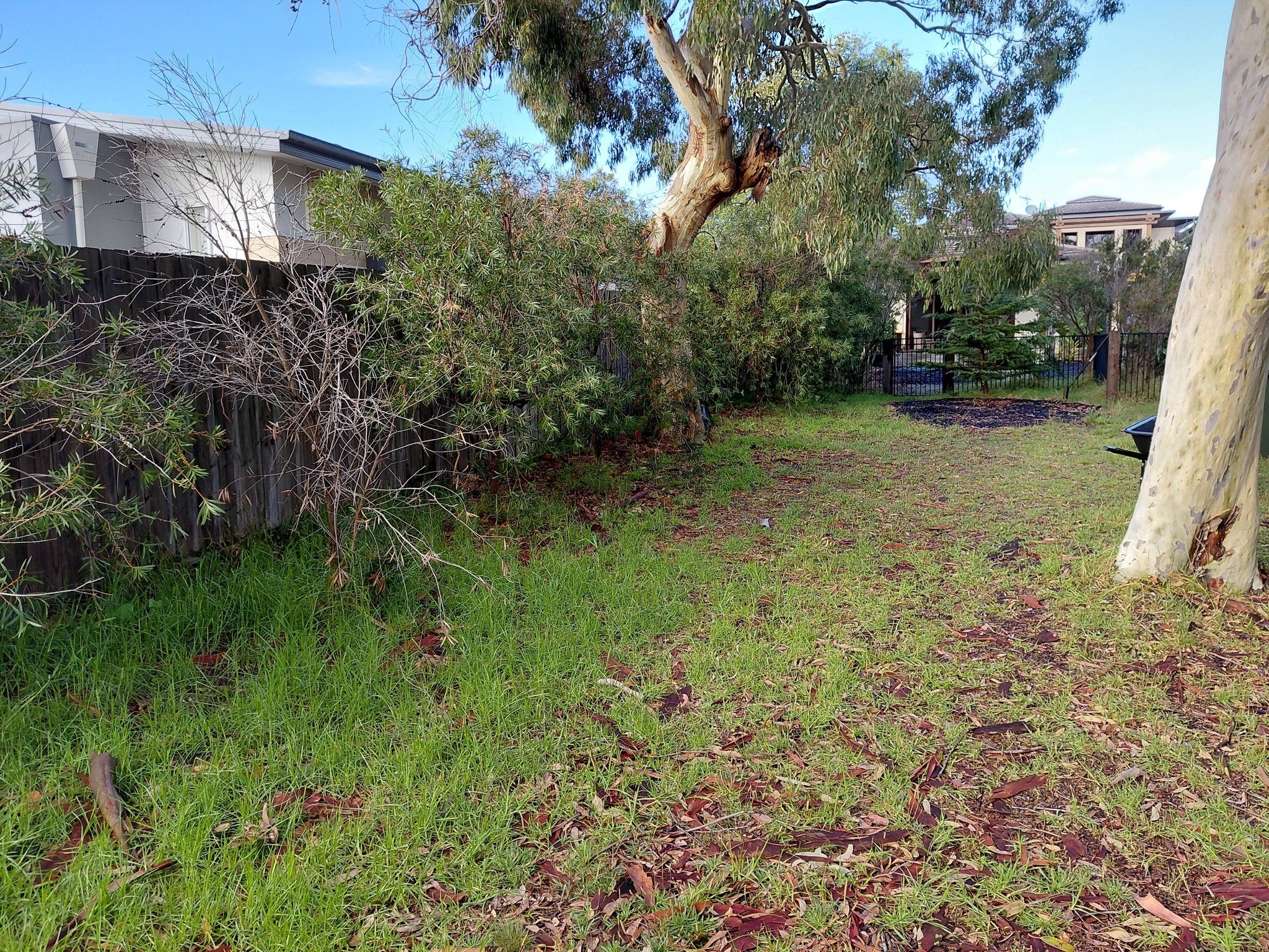 Garden Maintenance Ocean Grove