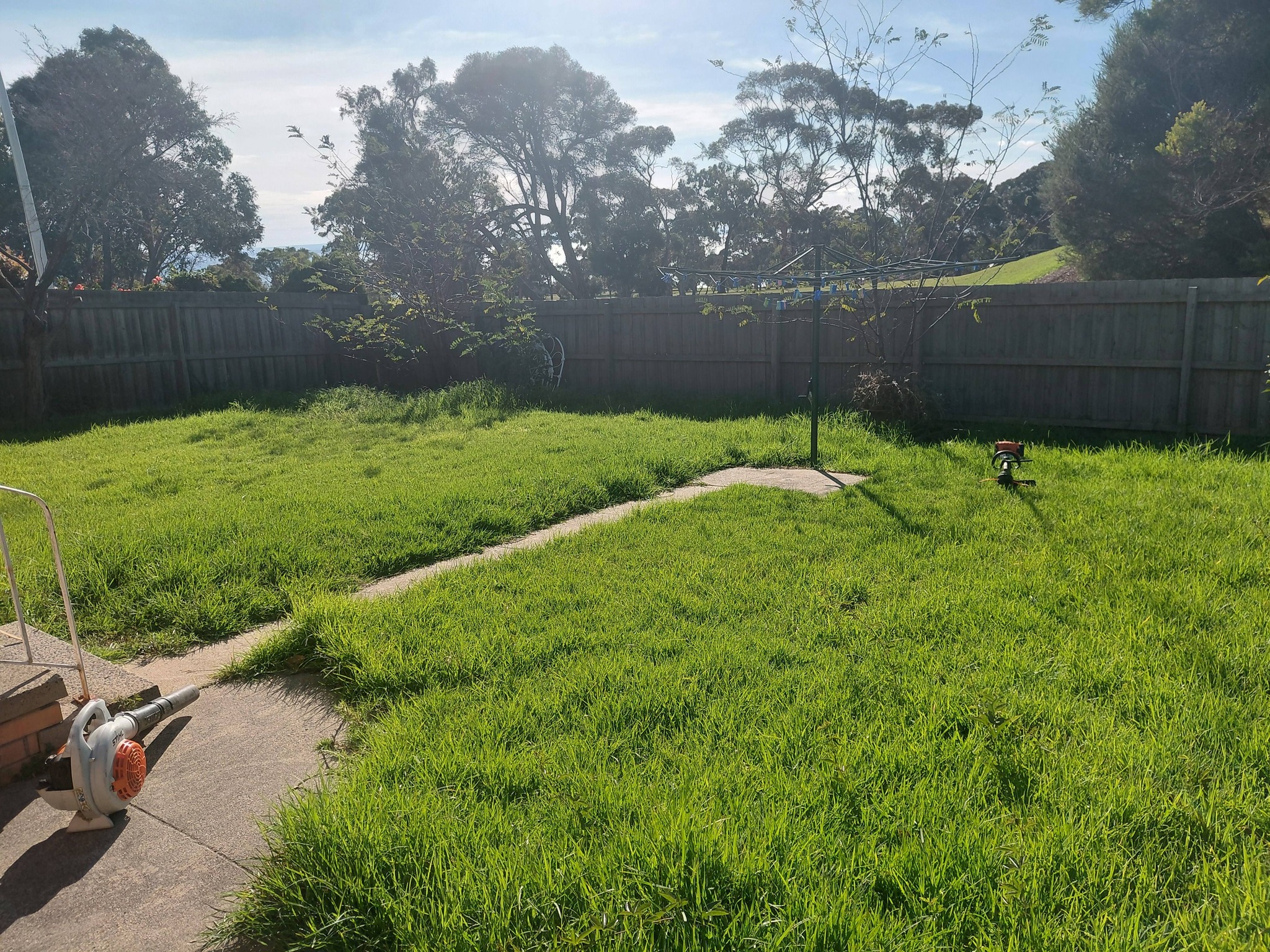 Lawn Mowed Clifton Springs
